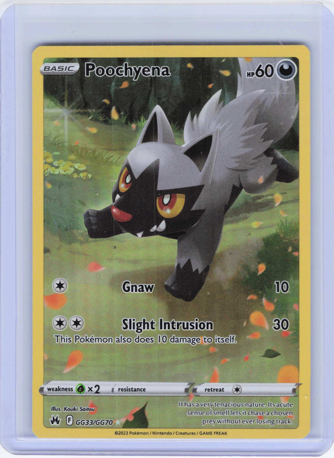 Poochyena #GG33/GG70 Holo Pokemon Crown Zenith: Galarian Gallery