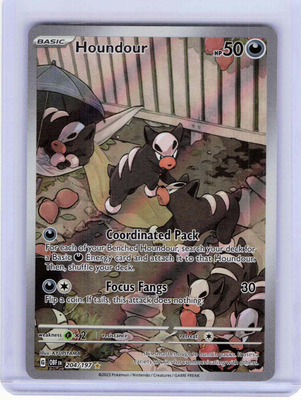 Houndour #204/197 Pokemon SV03: Obsidian Flames