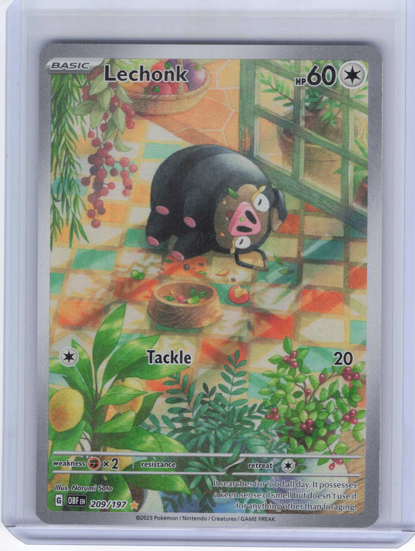 Lechonk #209/197 SV03: Obsidian Flames