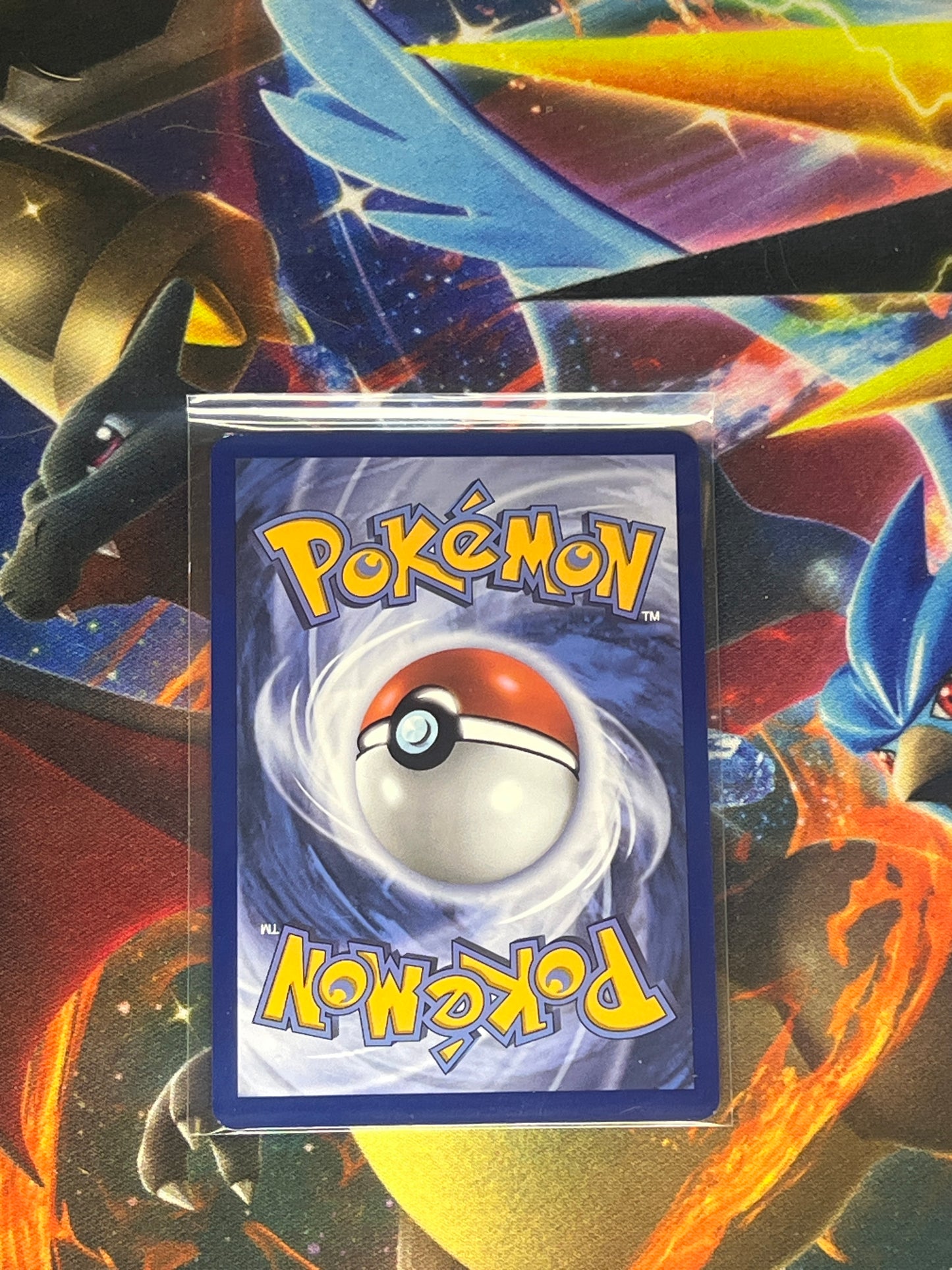 Swinub #165 Pokemon Journey Together
