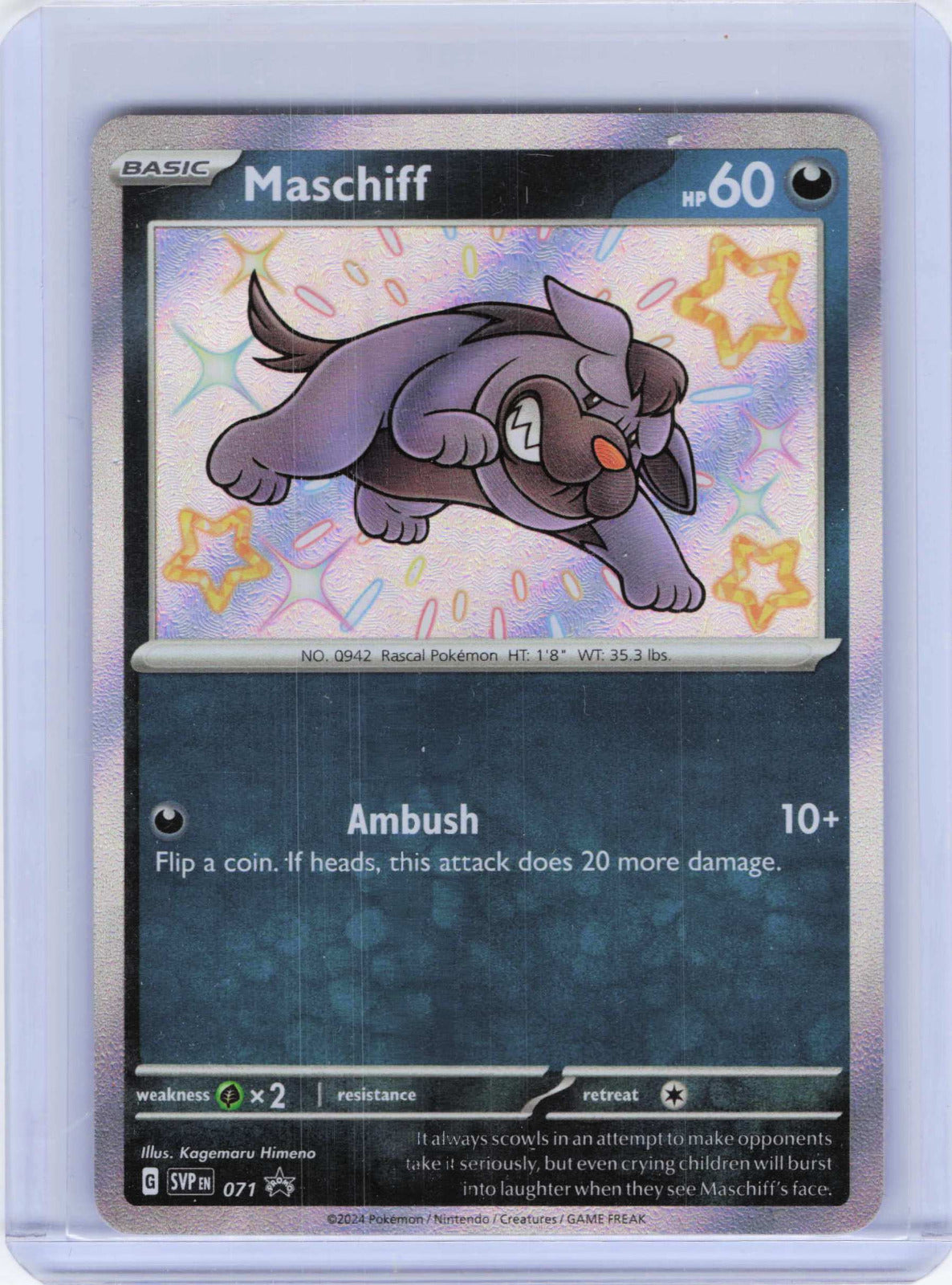 Maschiff #071 Holo Pokemon SV: Scarlet & Violet Promo Cards