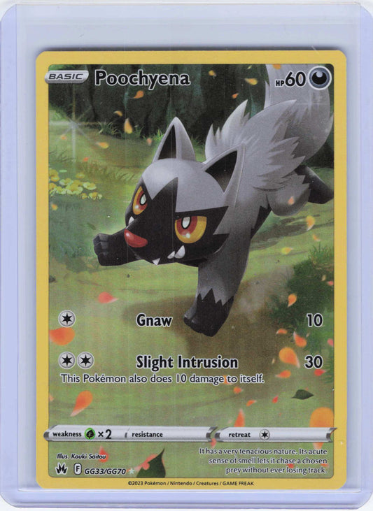 Poochyena #GG33/GG70 Holo Pokemon Crown Zenith: Galarian Gallery