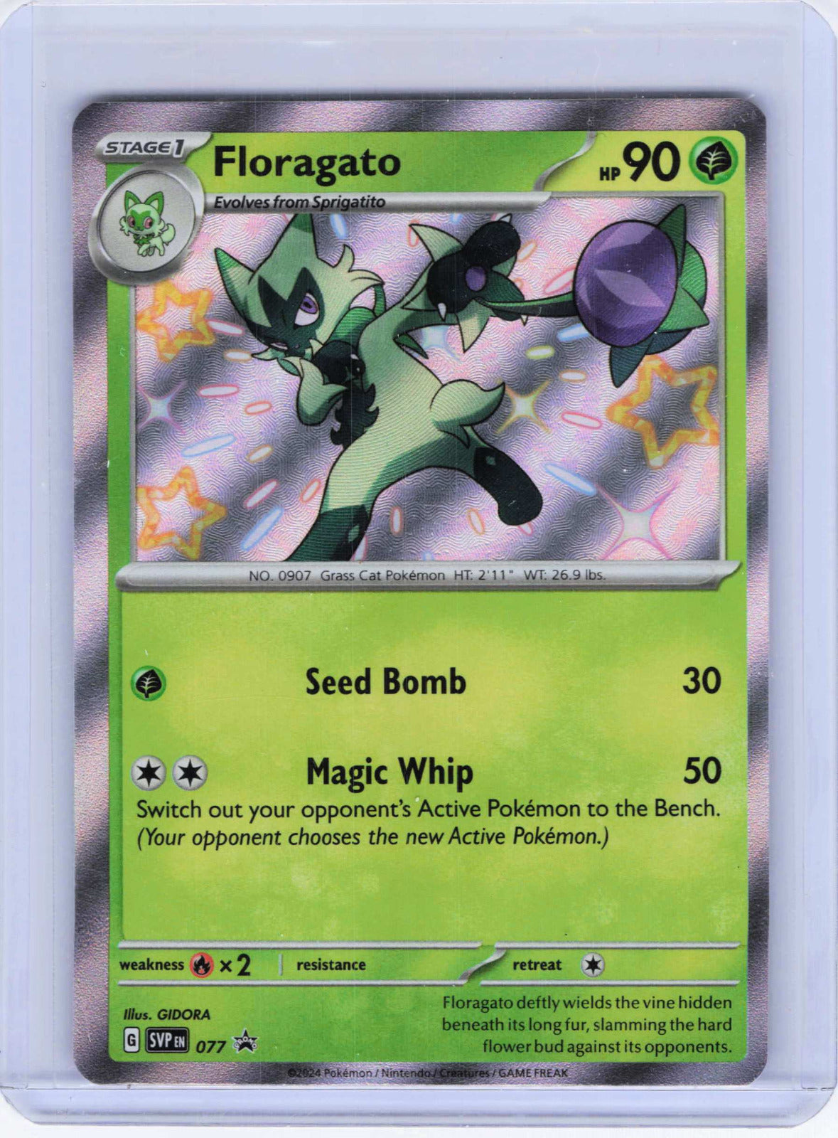 Floragato #077 Holo Pokemon SV: Scarlet & Violet Promo Cards