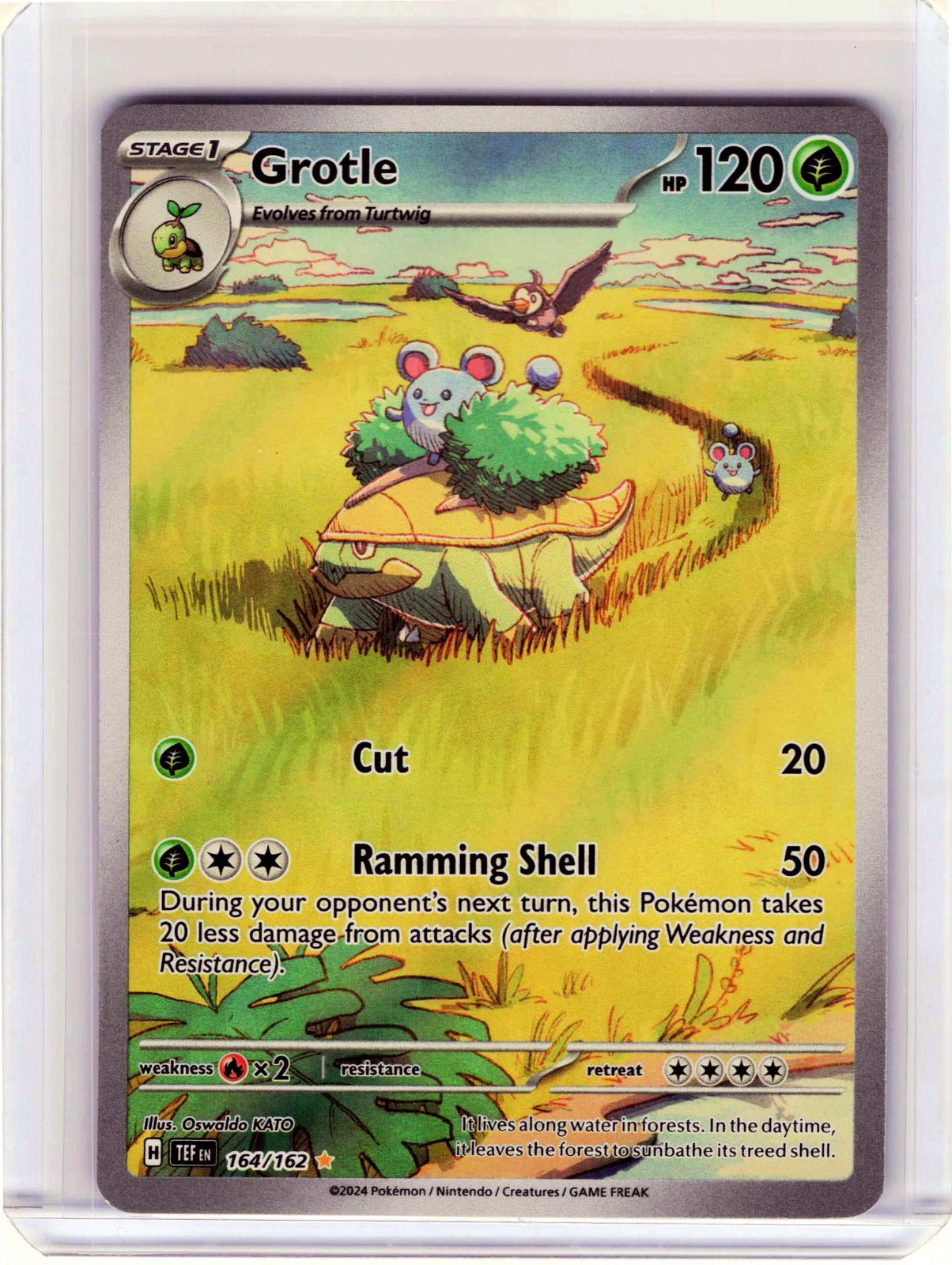 Grotle #164/162 Pokemon SV05: Temporal Forces