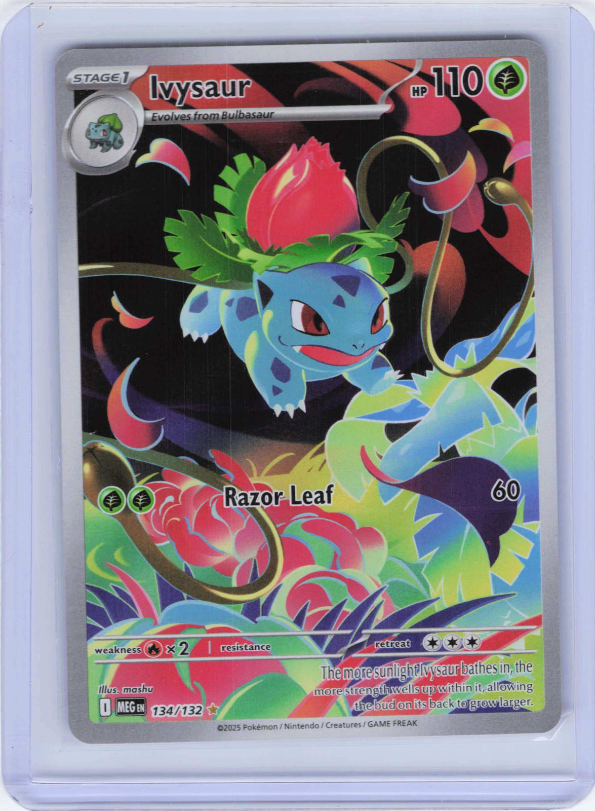 Ivysaur #134/132 Pokemon ME01: Mega Evolution