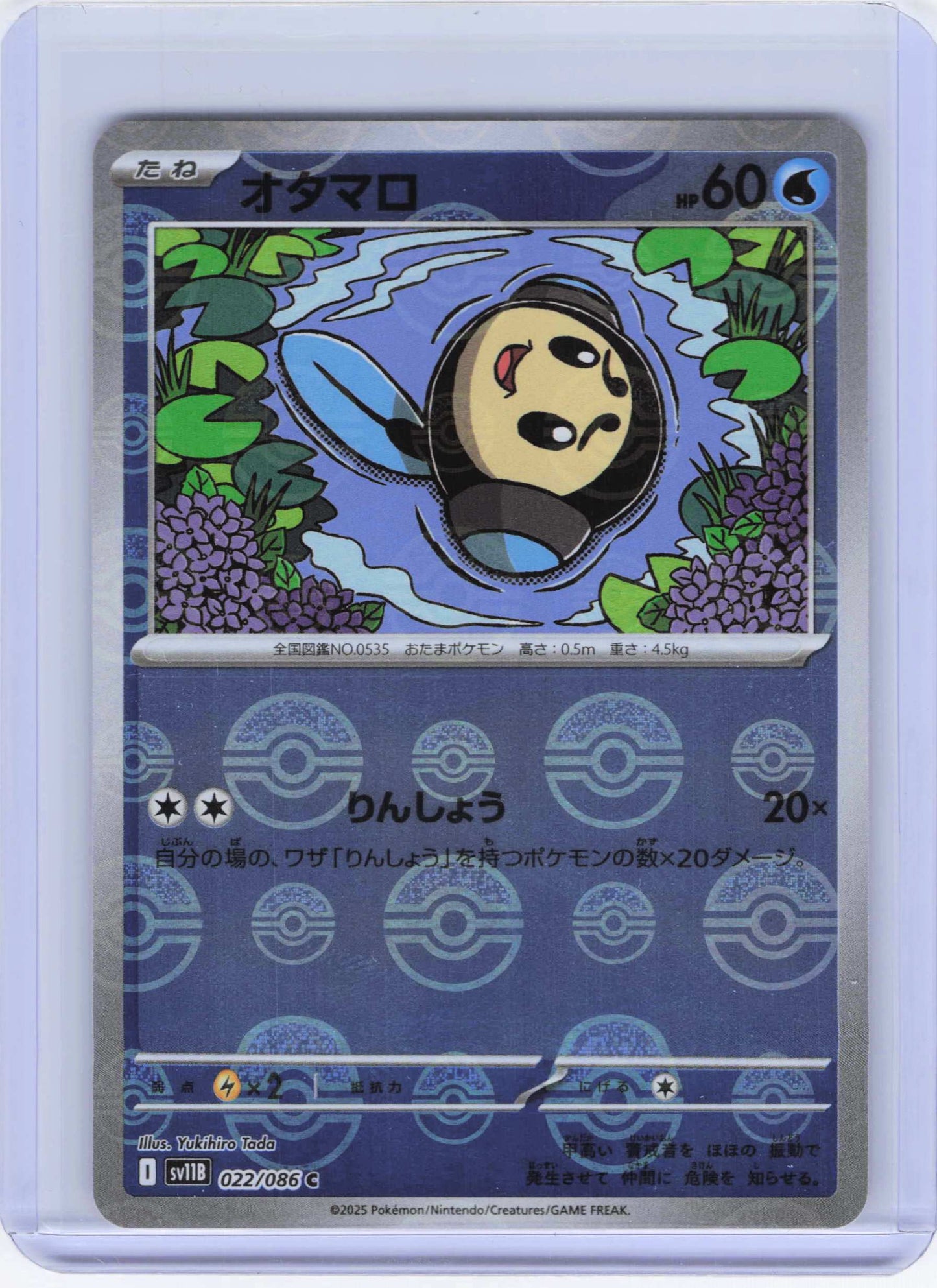 Tympole - (Poke Ball Pattern) 022/086 Common SV11B: Black Bolt