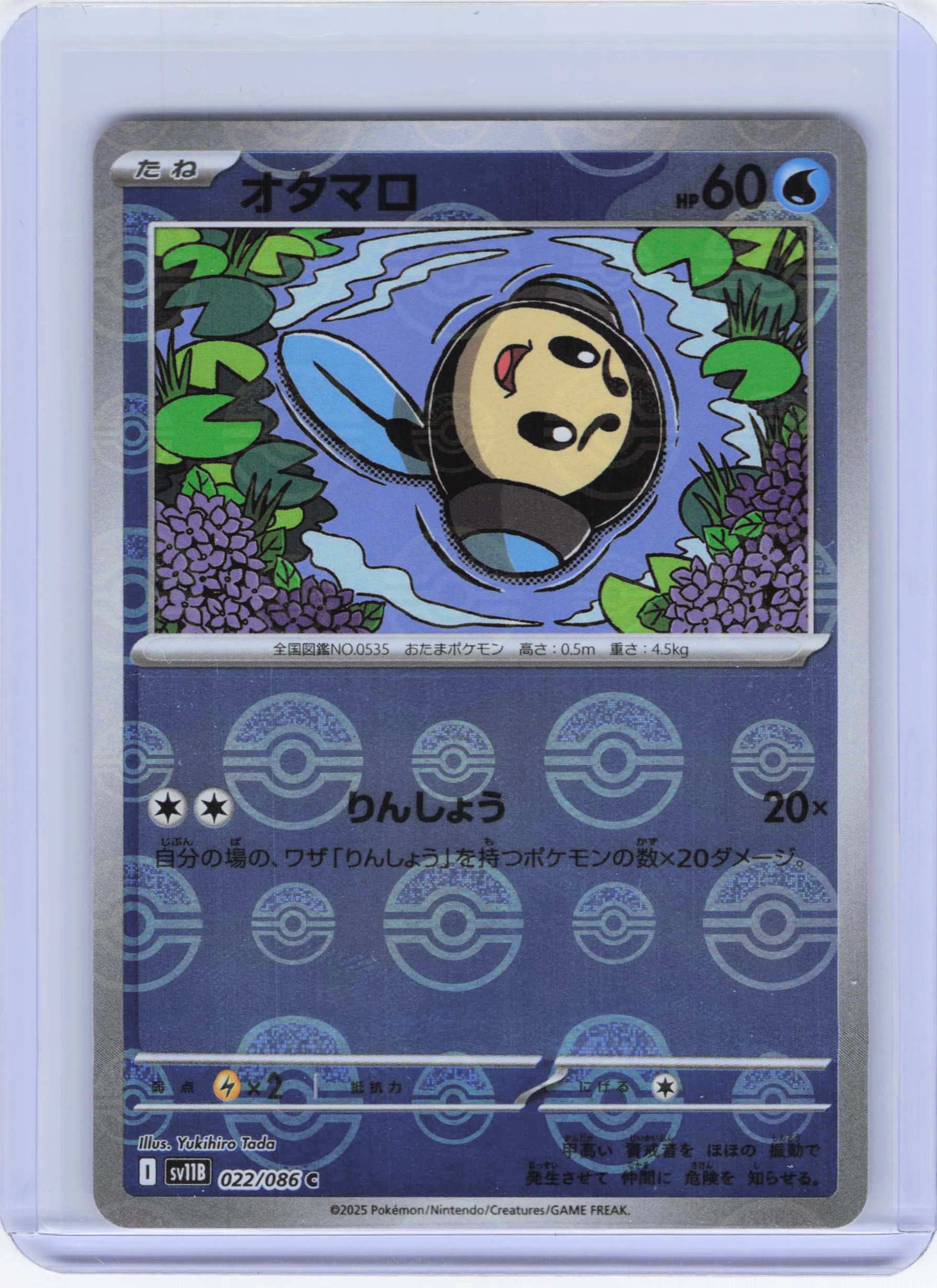 Tympole - (Poke Ball Pattern) 022/086 Common SV11B: Black Bolt