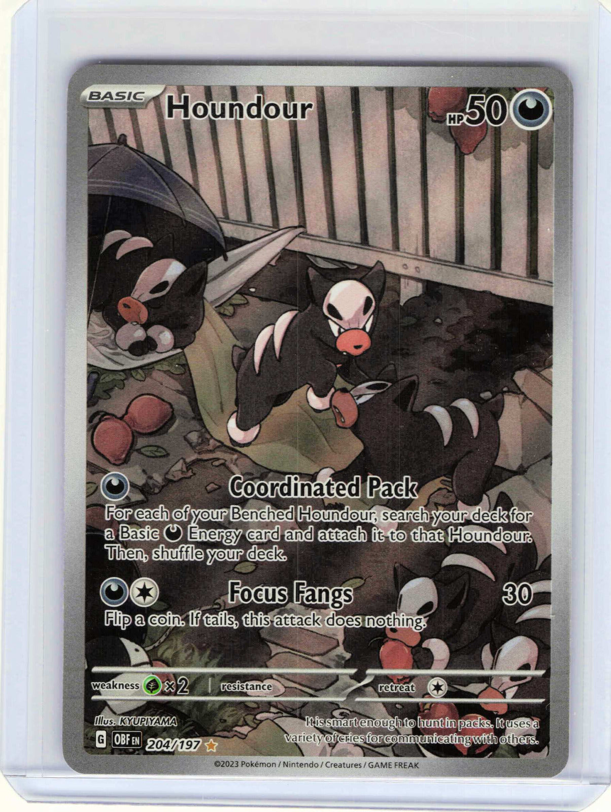 Houndour #204/197 Pokemon SV03: Obsidian Flames