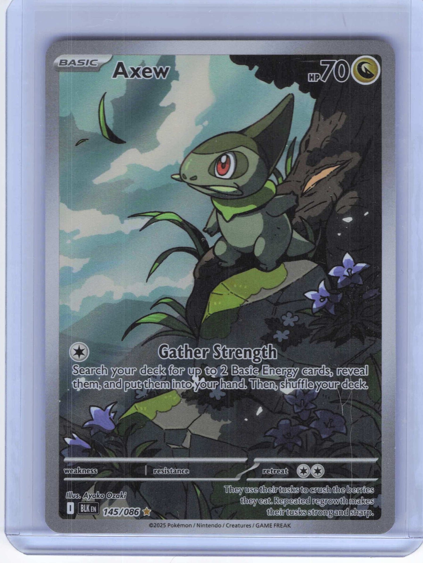 Axew #145/086 Full Art SV: Black Bolt