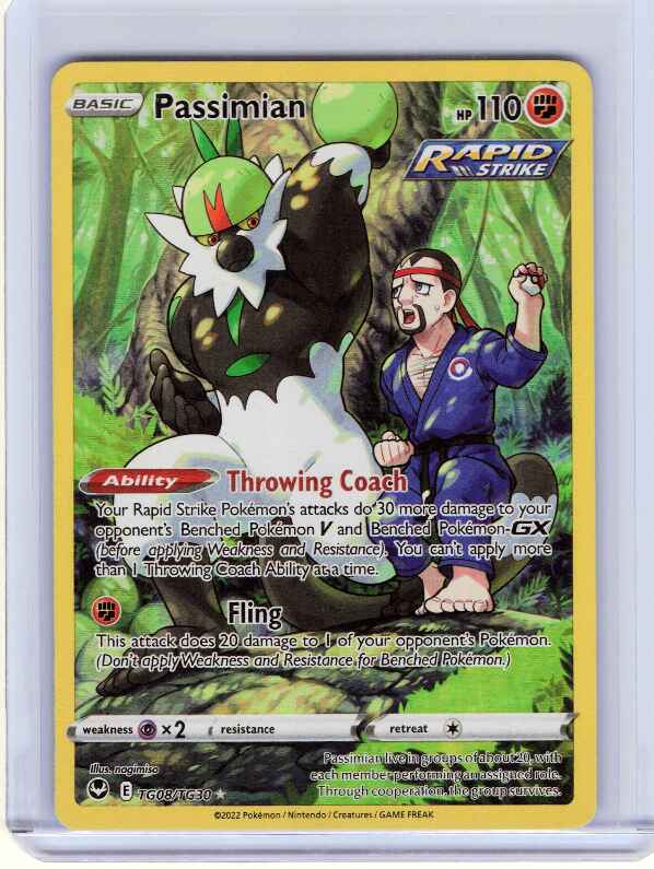 Passimian #TG08/TG30 SWSH12: Silver Tempest Trainer Gallery