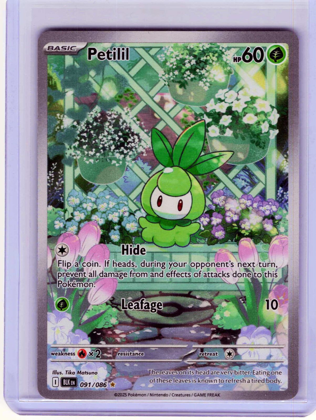 Petilil #091/086 Holo Pokemon SV: Black Bolt