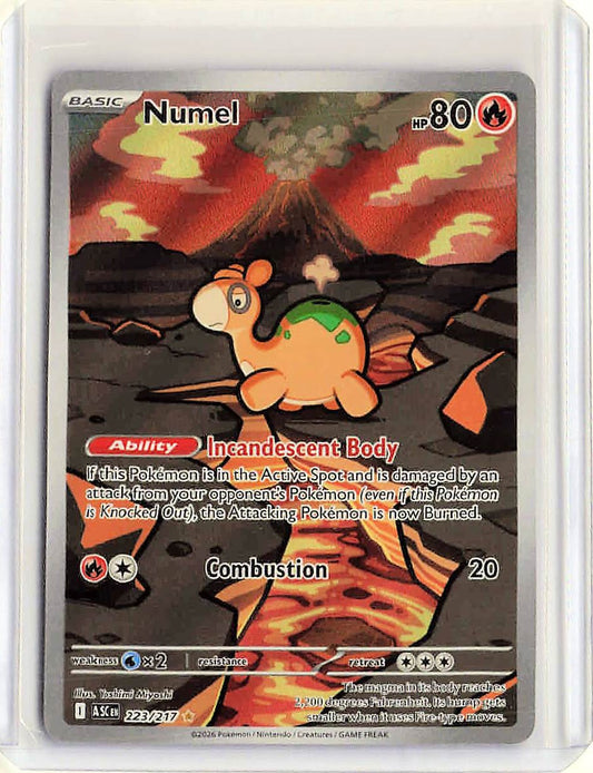 Numel #223/217 Pokemon ME: Ascended Heroes
