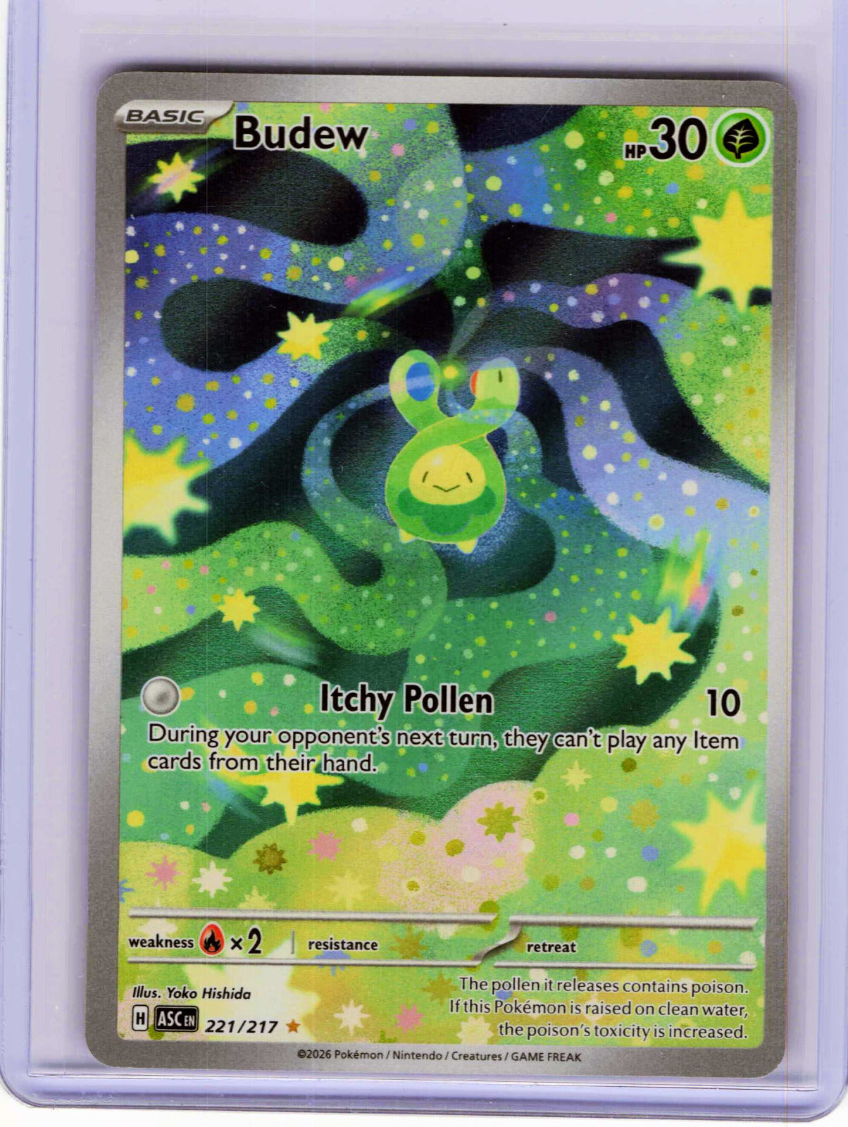 Budew #221/217 Holo Pokemon ME: Ascended Heroes