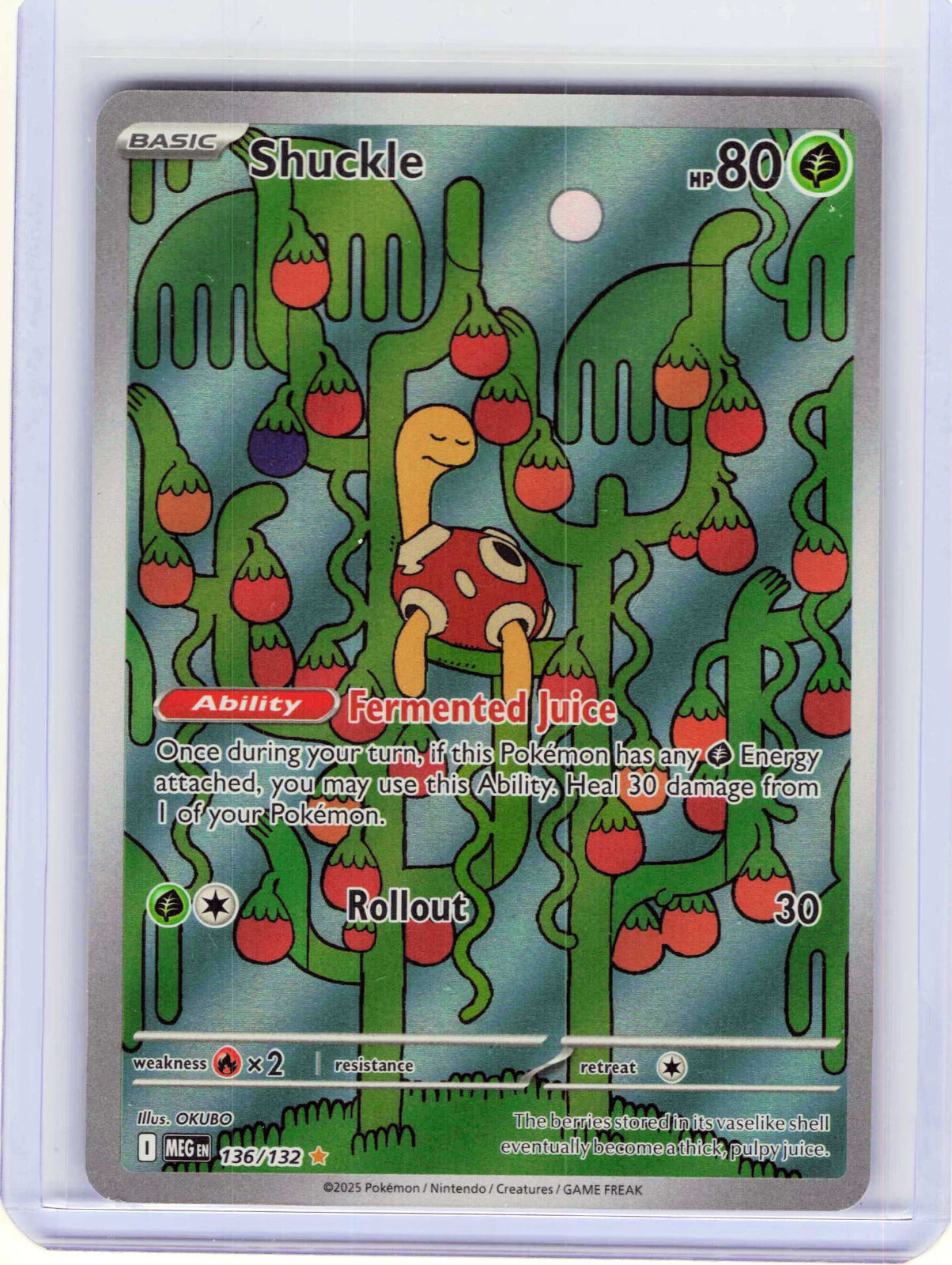 Shuckle #136/132 Holo Pokemon ME01: Mega Evolution