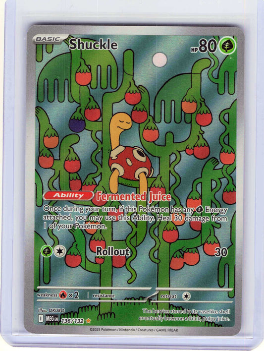 Shuckle #136/132 Holo Pokemon ME01: Mega Evolution