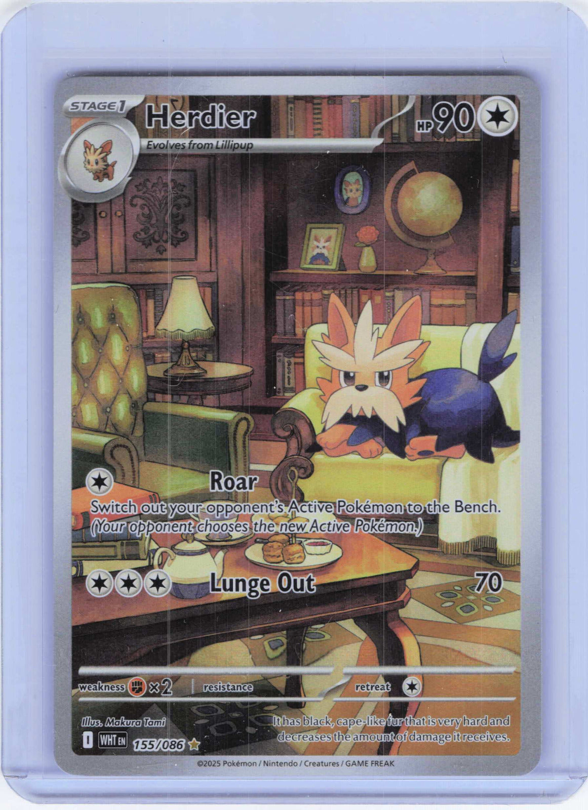 Herdier #155/086 Holo Pokemon SV: White Flare