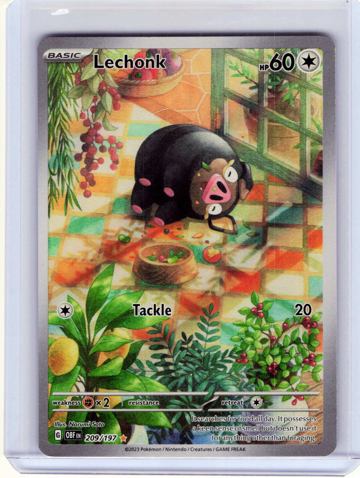 Lechonk #209/197 Pokemon SV03: Obsidian Flames