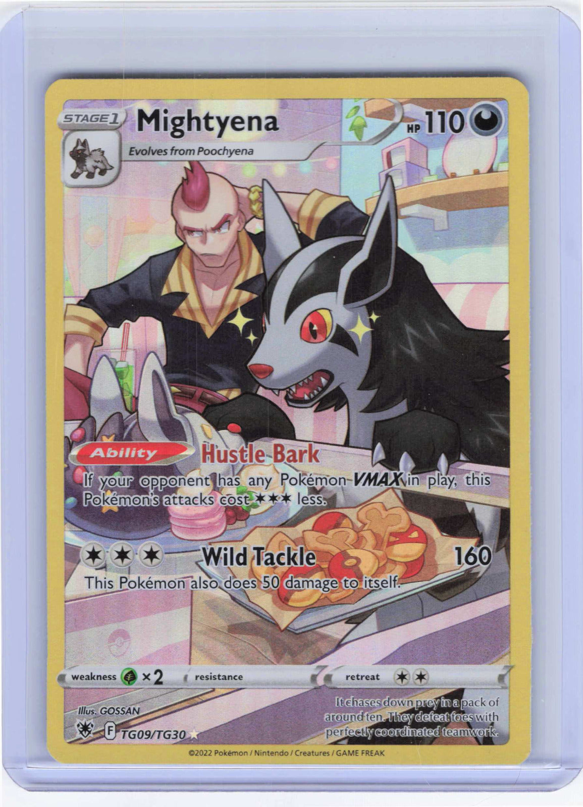 Mightyena #TG09/TG30 Holo Pokemon SWSH10: Astral Radiance Trainer Gallery